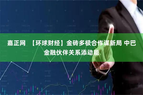 嘉正网  【环球财经】金砖多极合作谋新局 中巴金融伙伴关系添动能