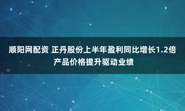 顺阳网配资 正丹股份上半年盈利同比增长1.2倍 产品价格提升驱动业绩