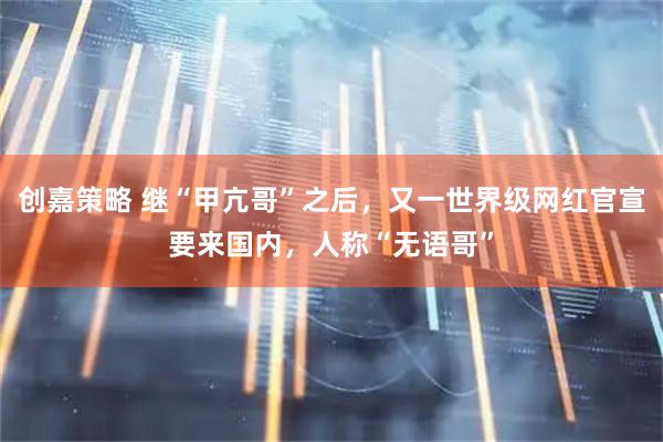创嘉策略 继“甲亢哥”之后，又一世界级网红官宣要来国内，人称“无语哥”