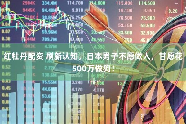 红牡丹配资 刷新认知,日本男子不愿做人,甘愿花500万做狗!